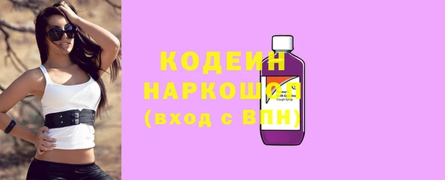амф Апатиты