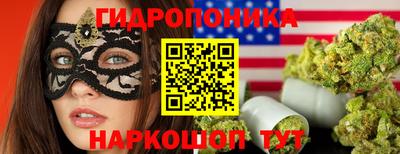 бошки Будённовск