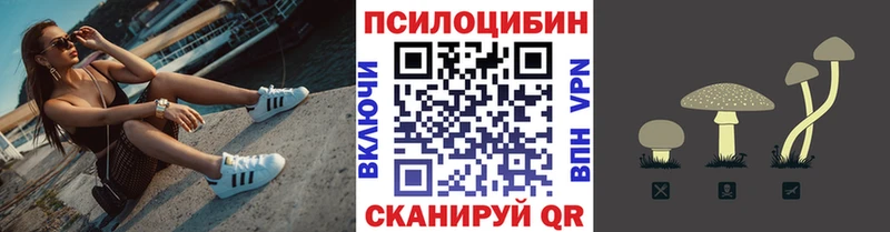 даркнет сайт Грязи Псилоцибиновые грибы Psilocybine cubensis