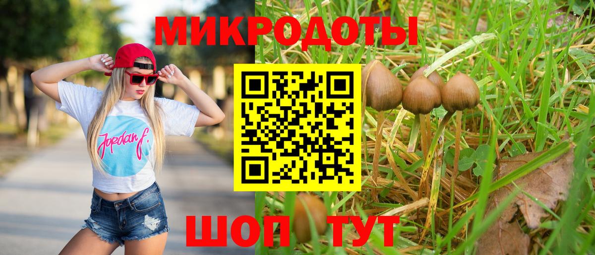 Галлюциногенные грибы Magic Shrooms Грязи