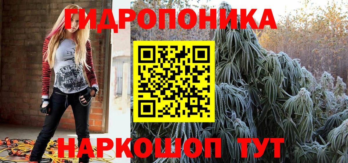 МАРИХУАНА план Грязи